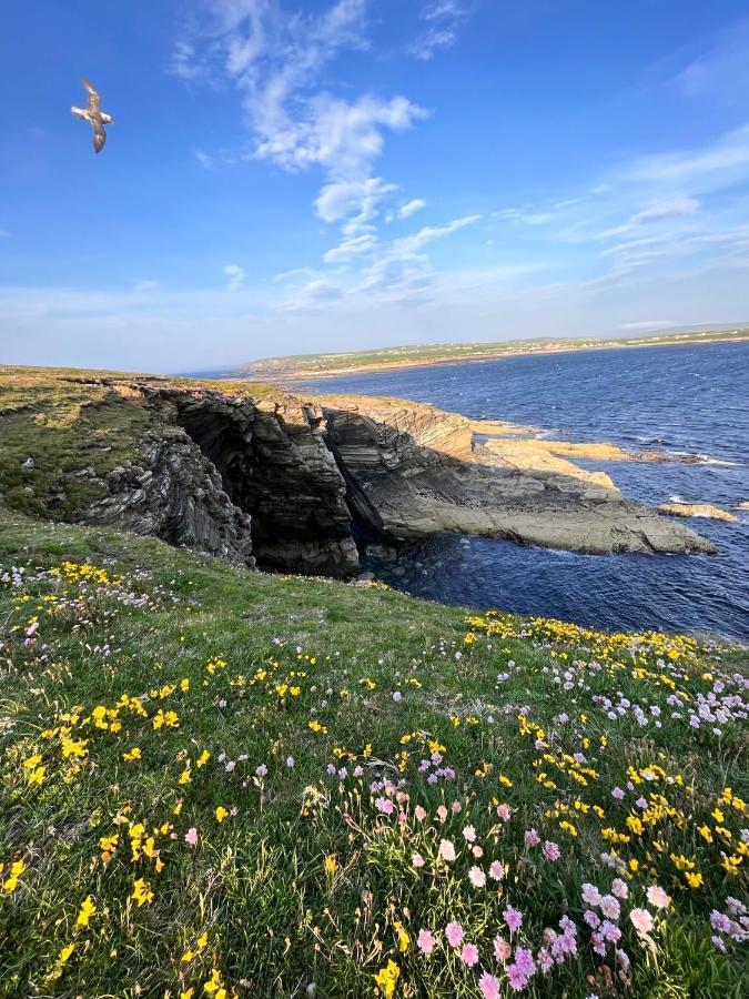 Peedie Cott Self-Catering, Orkney Saint Margarets Hope Exterior photo